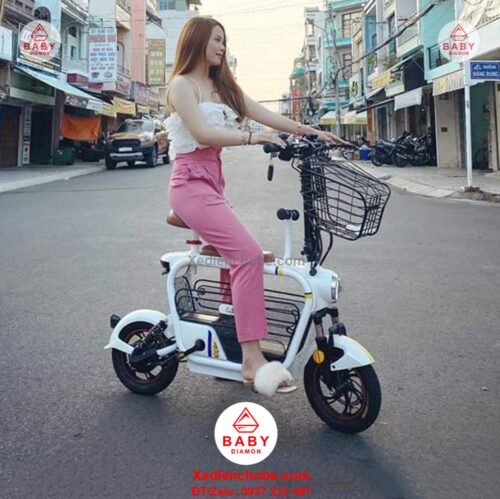 Xe đạp điện cho mẹ và bé Lihaze, 2 yên ghế