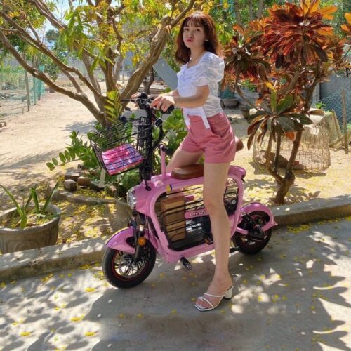 Xe đạp điện cho mẹ và bé Lihaze, 2 yên ghế