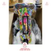 Xe-drift-cho-be-mat-ech-K2-khung-tron-giam-soc-08 copy