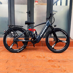 Xe đạp điện trợ lực Phoenix Q1, vành mâm đúc, hàng chính hãng, tốc độ 20-35km