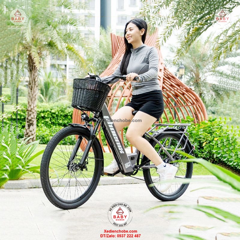-Xe-dap-dien-tro-luc-Phoenix-D2-07