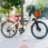 -Xe-dap-dien-tro-luc-Phoenix-D2-09