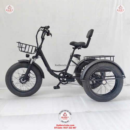 Xe đạp điện 3 bánh cho người già D3B 01, siêu đẳng cấp