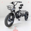 Xe-dap-dien-3-banh-cho-nguoi-gia-D3B-01-48v-15ah-05