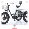 Xe-dap-dien-3-banh-cho-nguoi-gia-D3B-01-48v-15ah-06
