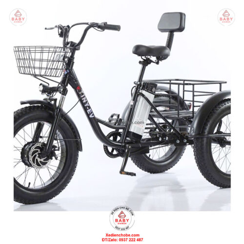 Xe đạp điện 3 bánh cho người già D3B 01, siêu đẳng cấp