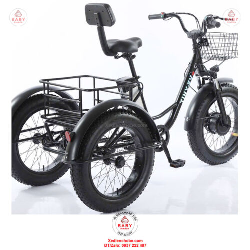 Xe đạp điện 3 bánh cho người già D3B 01, siêu đẳng cấp
