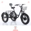 Xe-dap-dien-3-banh-cho-nguoi-gia-D3B-01-48v-15ah-10