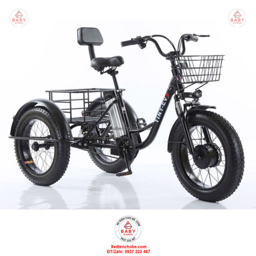 Xe đạp điện 3 bánh cho người già D3B 01, siêu đẳng cấp