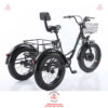 Xe-dap-dien-3-banh-cho-nguoi-gia-D3B-01-48v-15ah-11