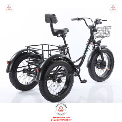 Xe đạp điện 3 bánh cho người già D3B 01, siêu đẳng cấp