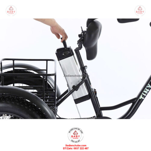 Xe đạp điện 3 bánh cho người già D3B 01, siêu đẳng cấp