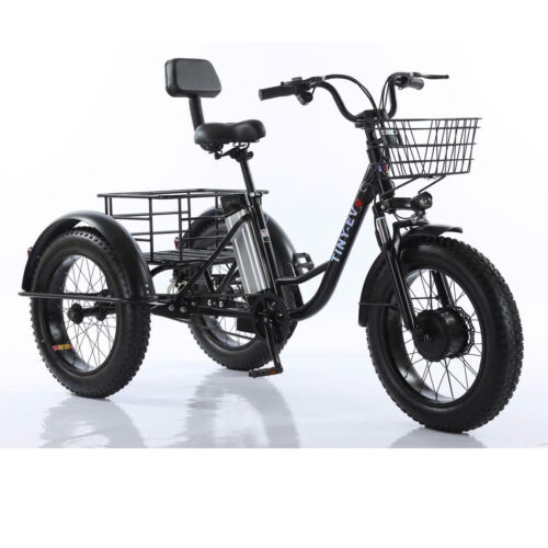 Xe đạp điện 3 bánh cho người già D3B 01, siêu đẳng cấp
