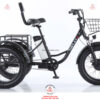 Xe-dap-dien-3-banh-cho-nguoi-gia-D3B-01-48v-15ah-15