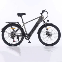 Xe đạp điện trợ lực Phoenix B9 Pro, Pin Rời