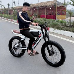 Xe đạp điện trợ lực Sondors Madmors, thương hiệu Mỹ