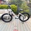 Xe-dap-tro-luc-Sondors-Smart-Step-gap-gon-pin-roi-thuong-hieu-my-02