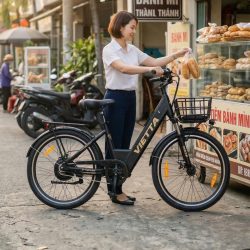 Xe đạp điện trợ lực Vietta V1, thương hiệu Việt