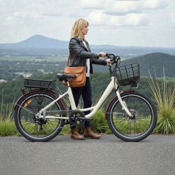 Xe đạp điện trợ lực Sallway Lady 24