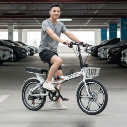 Xe đạp điện trợ lực gấp gọn Trường Vương Fujix, Pin rời, thương hiệu Việt