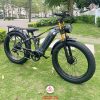 Xe-dap-tro-luc-Burchda-RX80-16