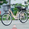 Xe-dap-tro-luc-Rapidx-R1-Thuong-hieu-viet-03